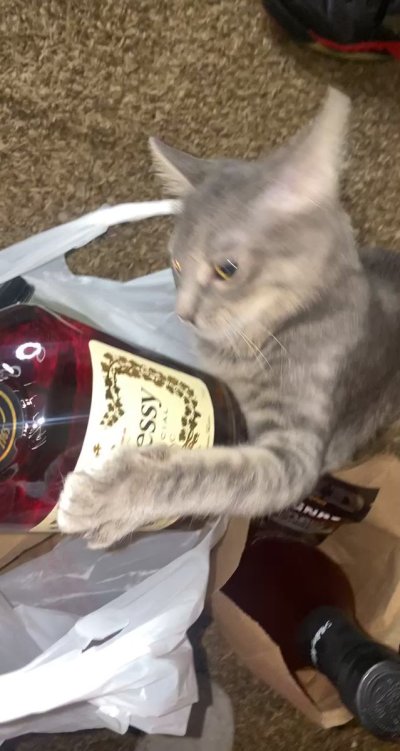 Watch Shan Li ㊙️'s leaked NSFW video on TwXstars