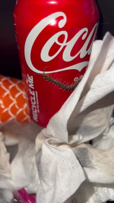 Watch Sarina Desiree's leaked NSFW video on TwXstars