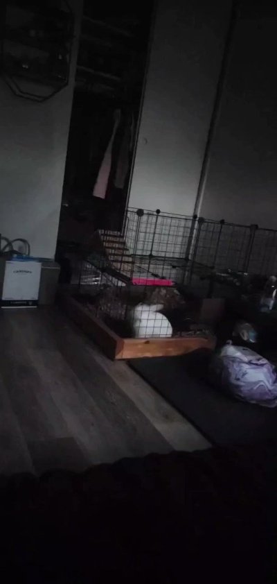 Watch Madison Mouse's leaked NSFW video on TwXstars