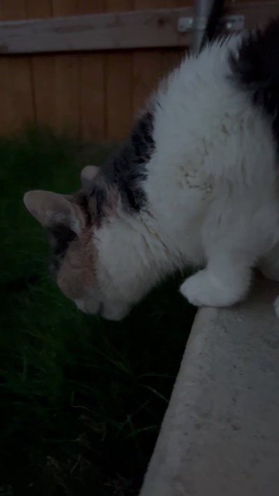 Watch Sarina Desiree's leaked NSFW video on TwXstars