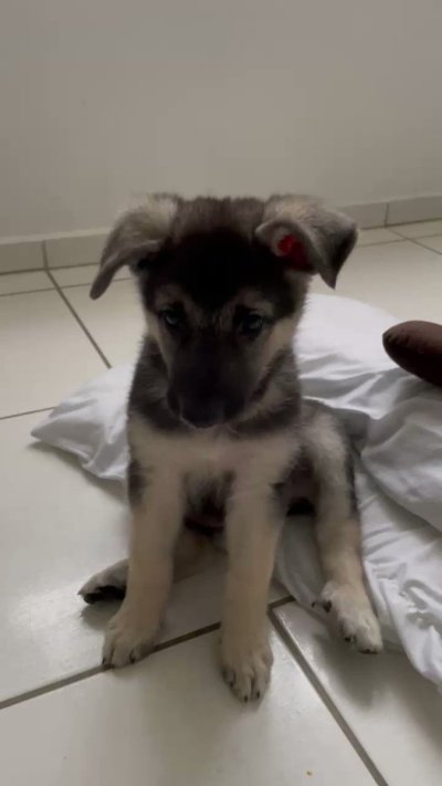 Watch ardat b 👹's leaked NSFW video on TwXstars