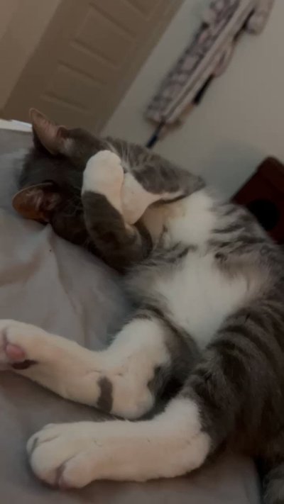 Watch Sarina Desiree's leaked NSFW video on TwXstars