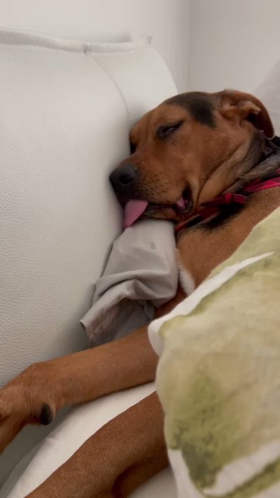 Watch anika's leaked NSFW video on TwXstars