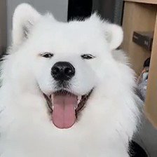 Watch 👨‍🍳chigbo_'s leaked NSFW video on TwXstars