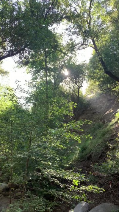 Watch Will Dynamite's leaked NSFW video on TwXstars