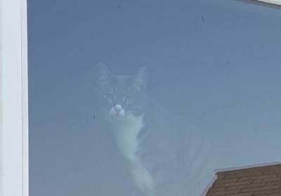 Watch Sarina Desiree's leaked NSFW video on TwXstars