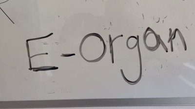 Watch Lone's leaked NSFW video on TwXstars