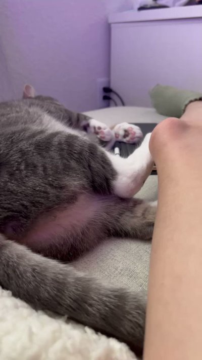 Watch Sarina Desiree's leaked NSFW video on TwXstars