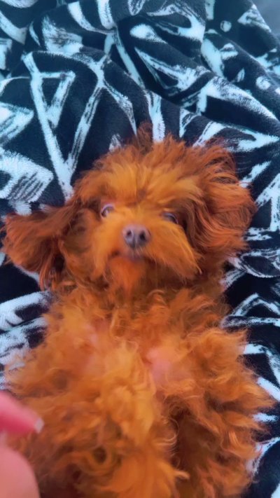 Watch D Skye💎's leaked NSFW video on TwXstars