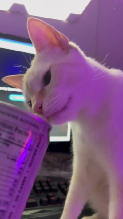 Watch Sarina Desiree's leaked NSFW video on TwXstars