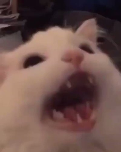 Watch Pulpi Hentai Vtuber (+18)'s leaked NSFW video on TwXstars