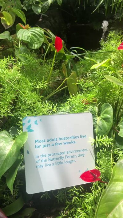 Watch Pittsburgh Domina Irene Boss's leaked NSFW video on TwXstars