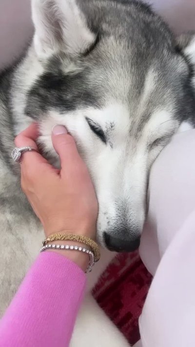 Watch Kenzie Anne✨💖's leaked NSFW video on TwXstars