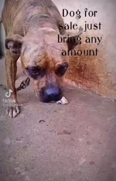 Watch Hanny Butter💕's leaked NSFW video on TwXstars