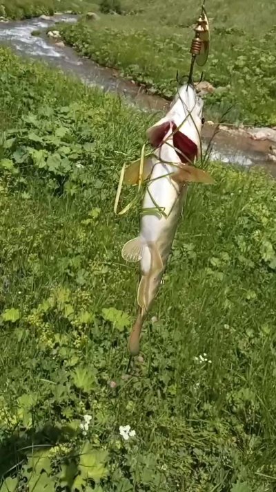 Watch Haber Tadında's leaked NSFW video on TwXstars