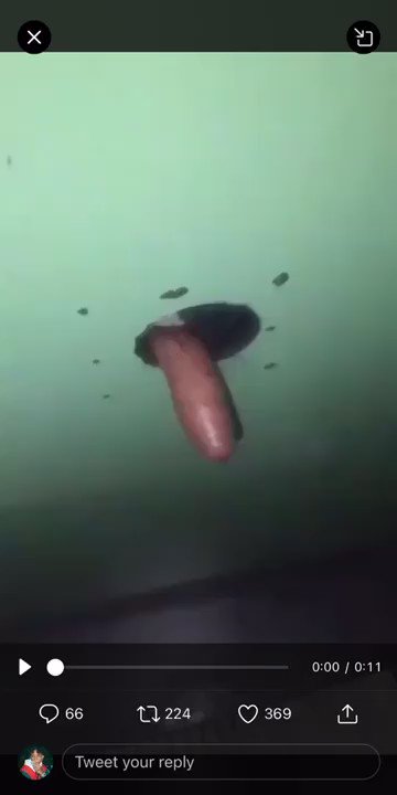 Watch Petite's leaked NSFW video on TwXstars