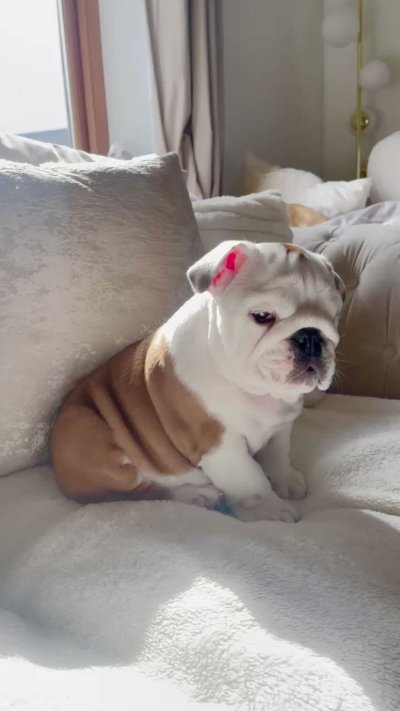 Watch Chloe's leaked NSFW video on TwXstars