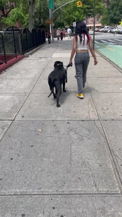 Watch Pretty Girl's leaked NSFW video on TwXstars