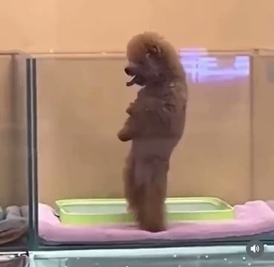 Watch gigabite's leaked NSFW video on TwXstars