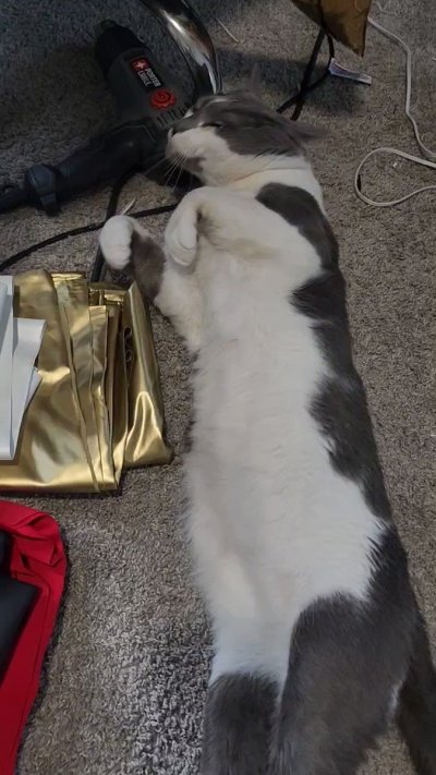 Watch StapledMyDickToABrick.'s leaked NSFW video on TwXstars