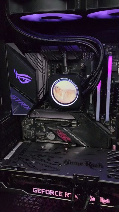 Watch LittleMapleBerry's leaked NSFW video on TwXstars