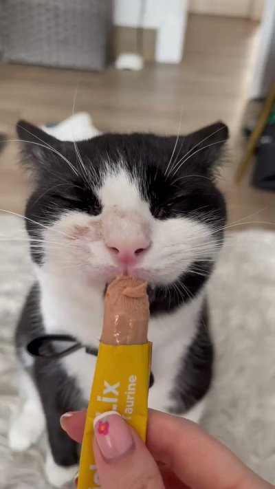 Watch JessieBuns's leaked NSFW video on TwXstars