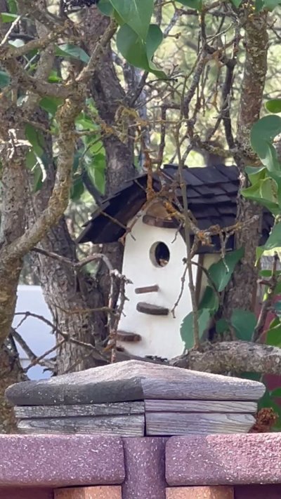 Watch Evelyn Claire's leaked NSFW video on TwXstars