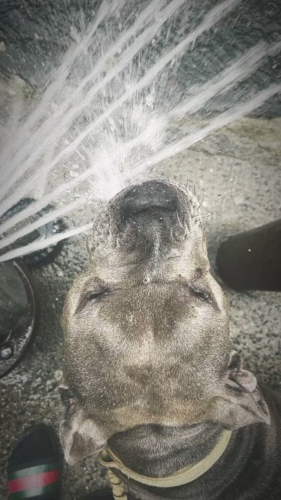 Watch Apu Apustaja's leaked NSFW video on TwXstars