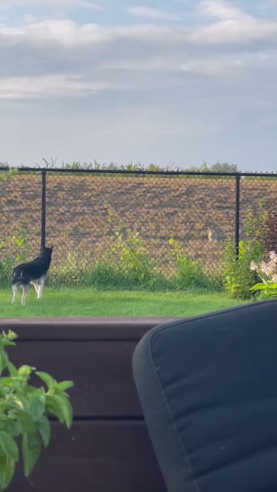 Watch Dr. Angela Rasmussen's leaked NSFW video on TwXstars