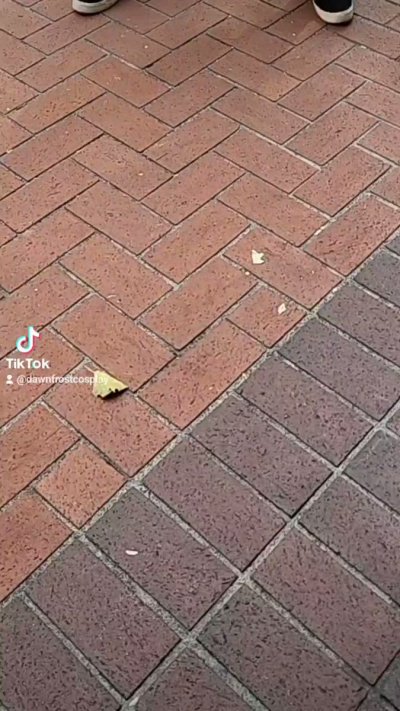 Watch StapledMyDickToABrick.'s leaked NSFW video on TwXstars