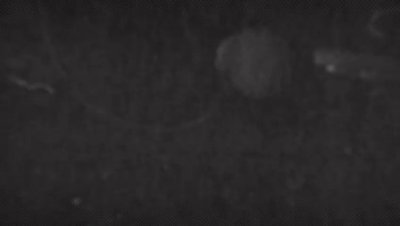 Watch Nicky Ferrari Official's leaked NSFW video on TwXstars