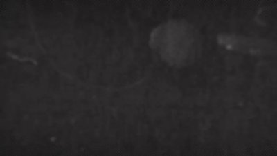 Watch Nicky Ferrari Official's leaked NSFW video on TwXstars