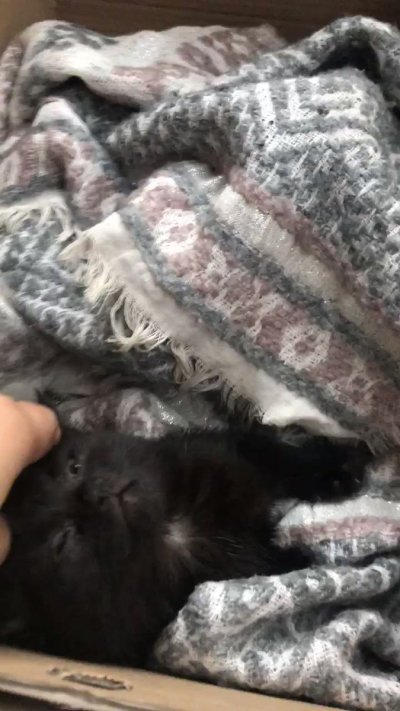 Watch ChrissieWunna's leaked NSFW video on TwXstars