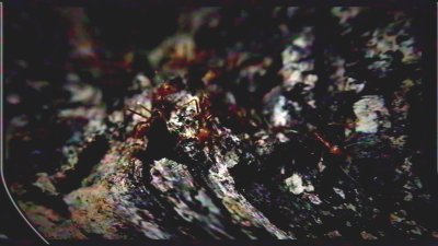 Watch Kayden Kross's leaked NSFW video on TwXstars