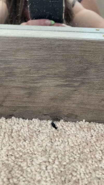 Watch Nat's leaked NSFW video on TwXstars