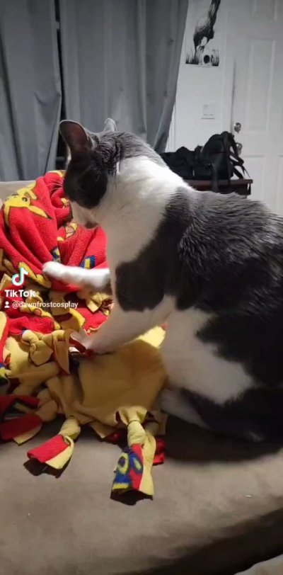 Watch StapledMyDickToABrick.'s leaked NSFW video on TwXstars