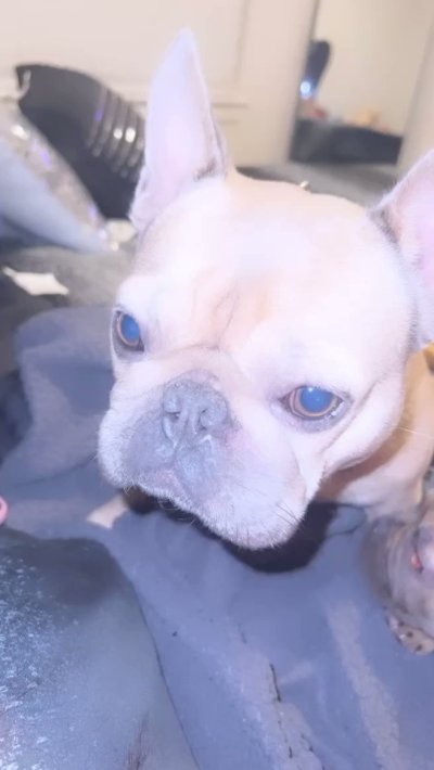 Watch TAY BAE💛's leaked NSFW video on TwXstars