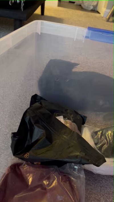 Watch 𝕭𝖚𝖓𝖓𝖎 𝕷𝖞𝖓𝖓's leaked NSFW video on TwXstars