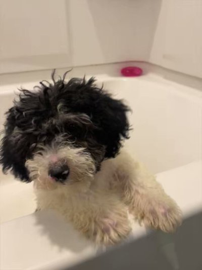 Watch m9ym9y's leaked NSFW video on TwXstars