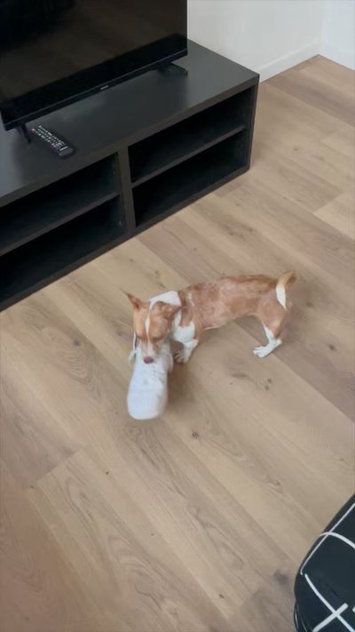 Watch Radagonnn86's leaked NSFW video on TwXstars