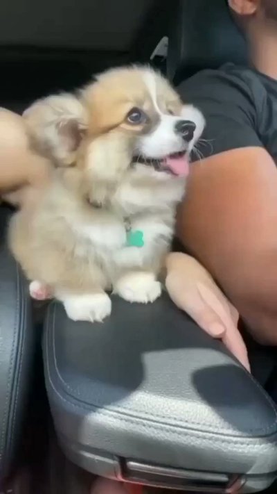 Watch Radagonnn86's leaked NSFW video on TwXstars