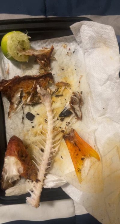 Watch Apu Apustaja's leaked NSFW video on TwXstars