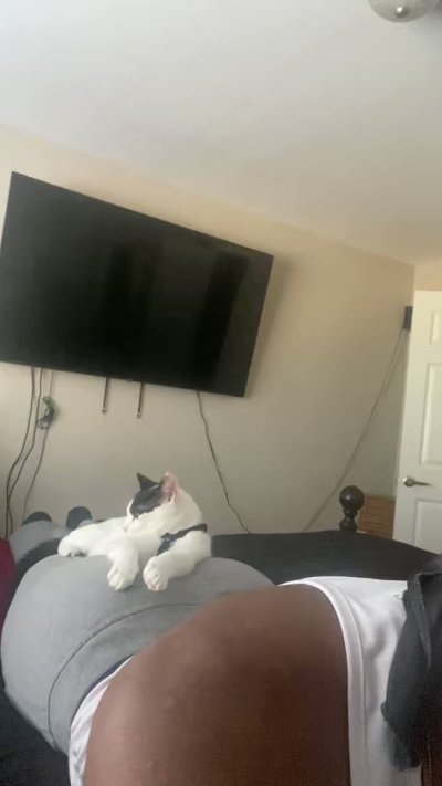 Watch Whole Lot of D🍆's leaked NSFW video on TwXstars