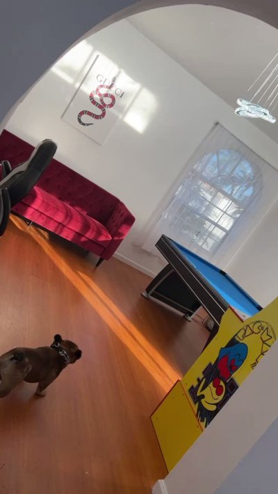 Watch SureCakes's leaked NSFW video on TwXstars