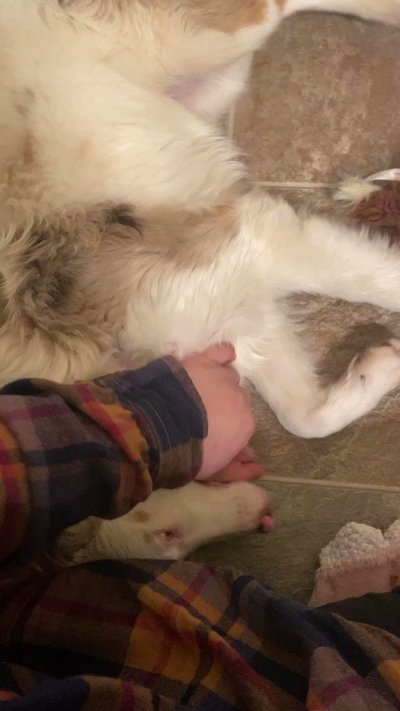 Watch 🌈 kezia slater💘's leaked NSFW video on TwXstars