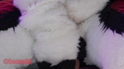 Watch Cenny After Bark's leaked NSFW video on TwXstars