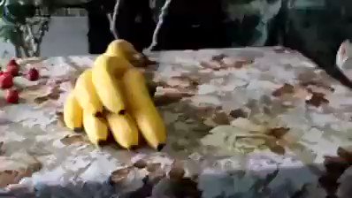 Watch Arun Thareja,'s leaked NSFW video on TwXstars