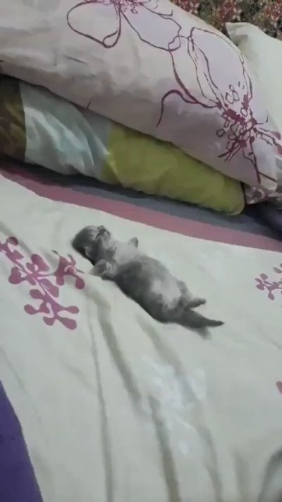 Watch Radagonnn86's leaked NSFW video on TwXstars