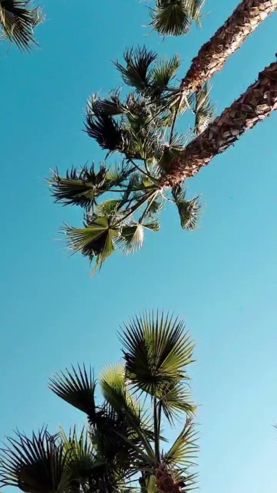 Watch Danika Mori's leaked NSFW video on TwXstars