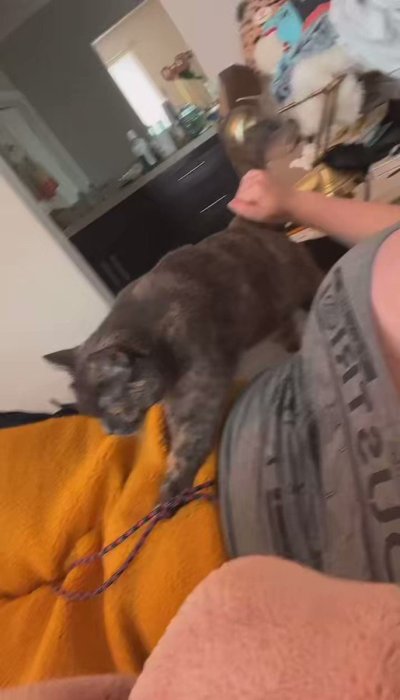 Watch Chaos Emerald's leaked NSFW video on TwXstars